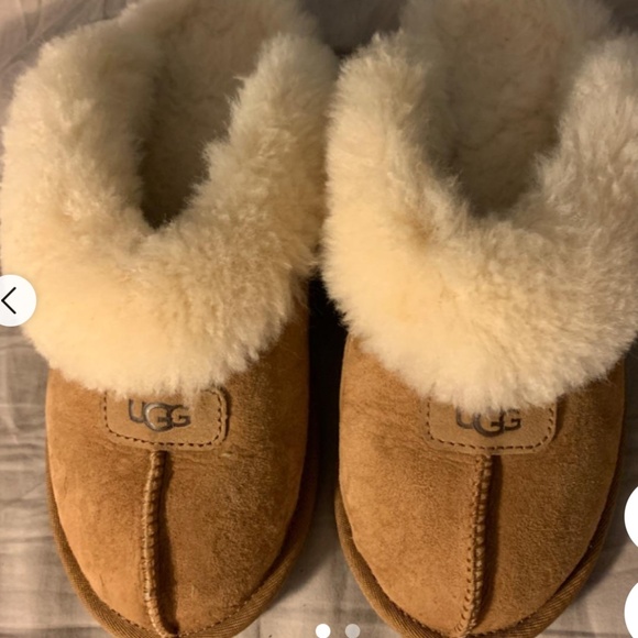 Ugg slippers - Picture 1 of 2